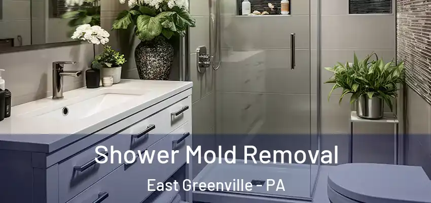 Shower Mold Removal East Greenville - PA