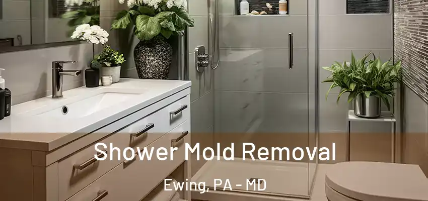  Shower Mold Removal Ewing, PA - MD