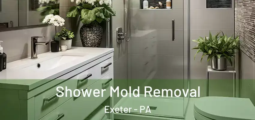 Shower Mold Removal Exeter - PA
