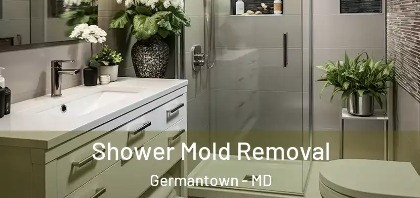 Shower Mold Removal Germantown - MD