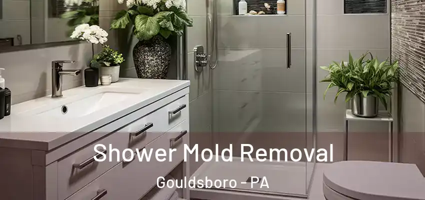 Shower Mold Removal Gouldsboro - PA