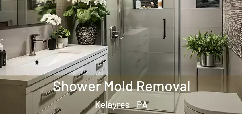 Shower Mold Removal Kelayres - PA
