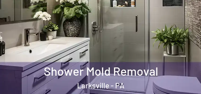 Shower Mold Removal Larksville - PA