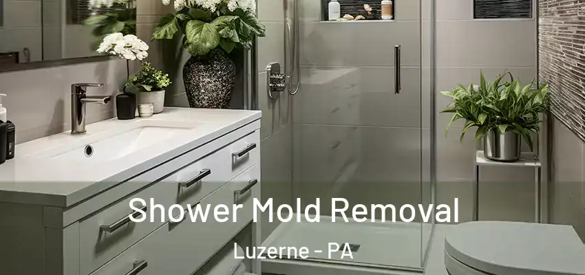 Shower Mold Removal Luzerne - PA