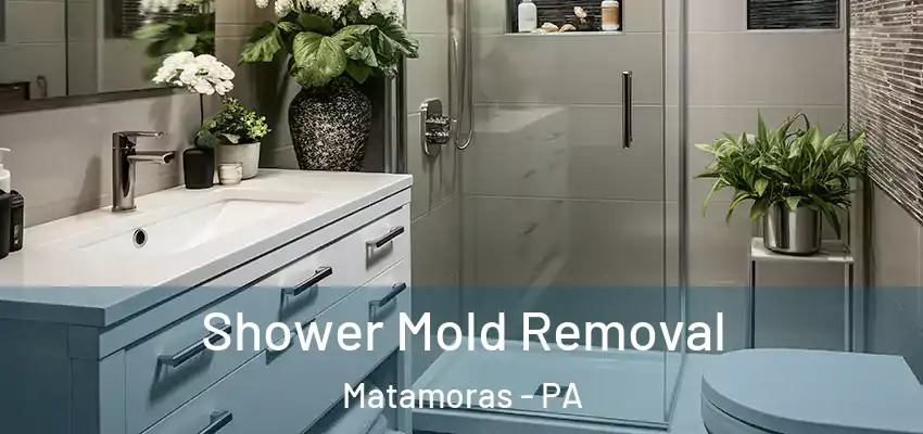 Shower Mold Removal Matamoras - PA