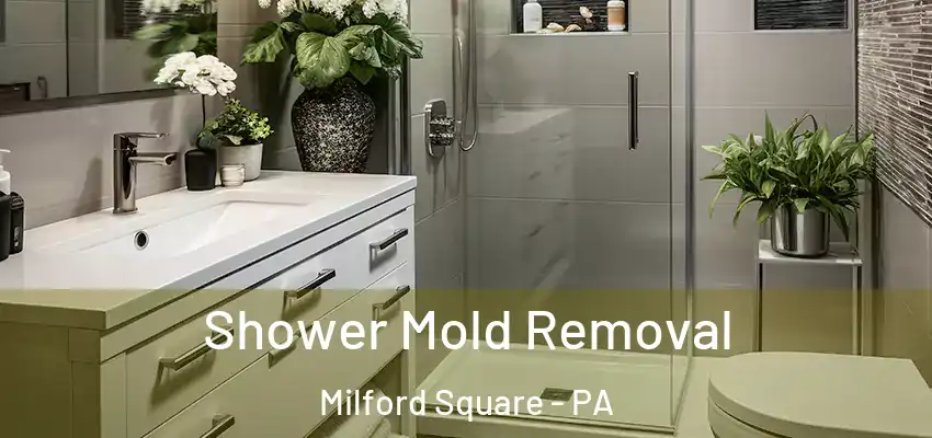 Shower Mold Removal Milford Square - PA