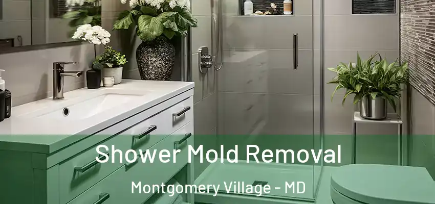 Shower Mold Removal Montgomery Village - MD