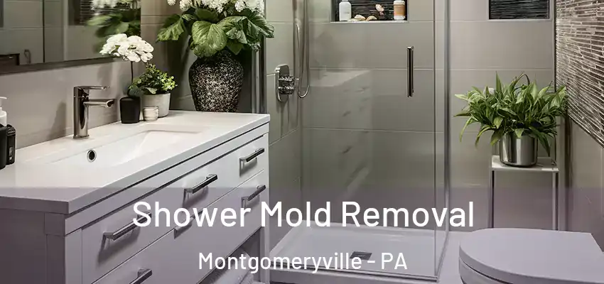 Shower Mold Removal Montgomeryville - PA