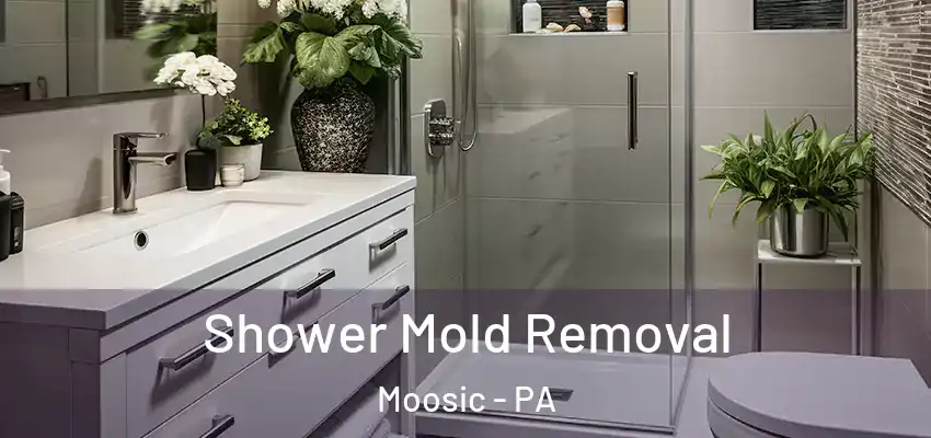  Shower Mold Removal Moosic - PA