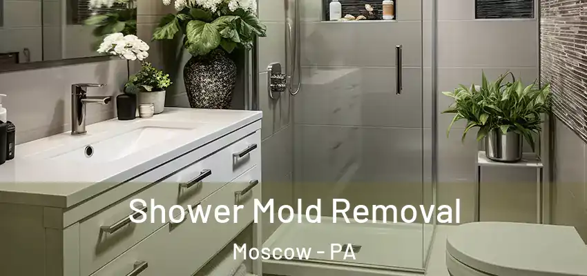 Shower Mold Removal Moscow - PA