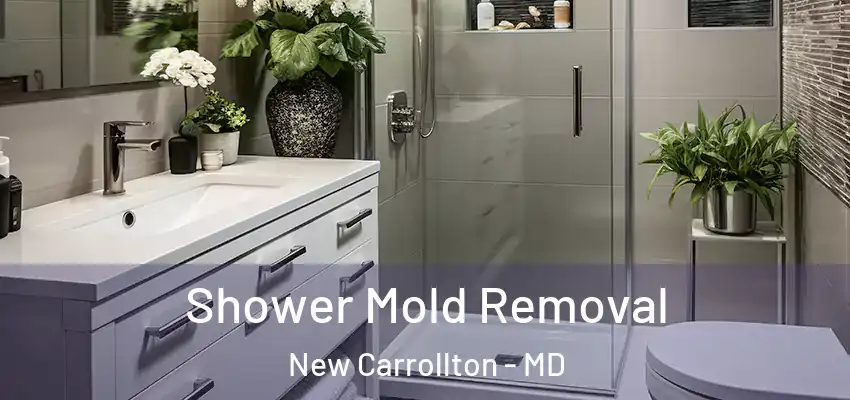 Shower Mold Removal New Carrollton - MD