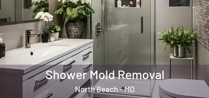 Shower Mold Removal North Beach - MD