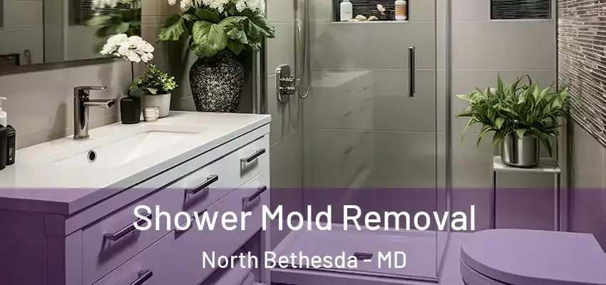 Shower Mold Removal North Bethesda - MD