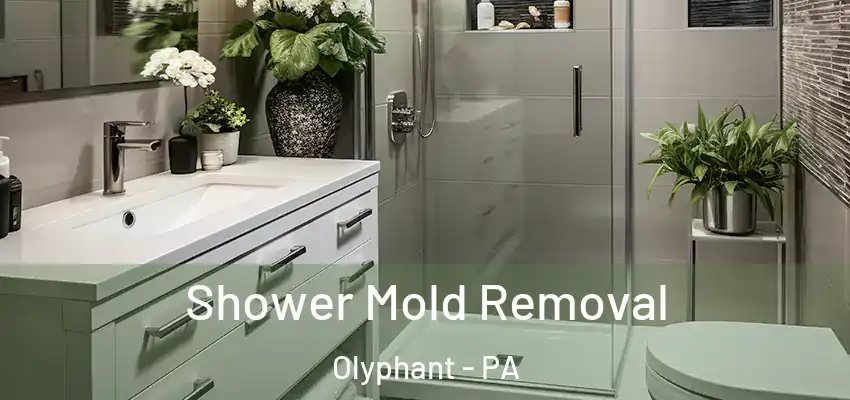 Shower Mold Removal Olyphant - PA