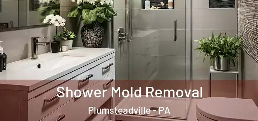 Shower Mold Removal Plumsteadville - PA