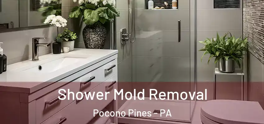 Shower Mold Removal Pocono Pines - PA