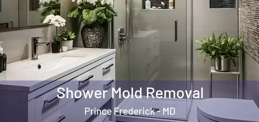 Shower Mold Removal Prince Frederick - MD