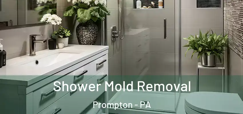 Shower Mold Removal Prompton - PA