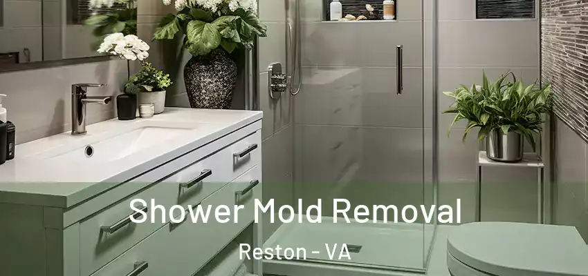  Shower Mold Removal Reston - VA