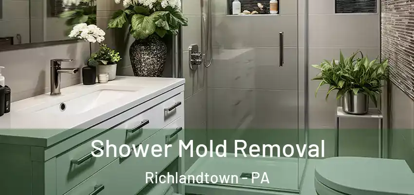 Shower Mold Removal Richlandtown - PA