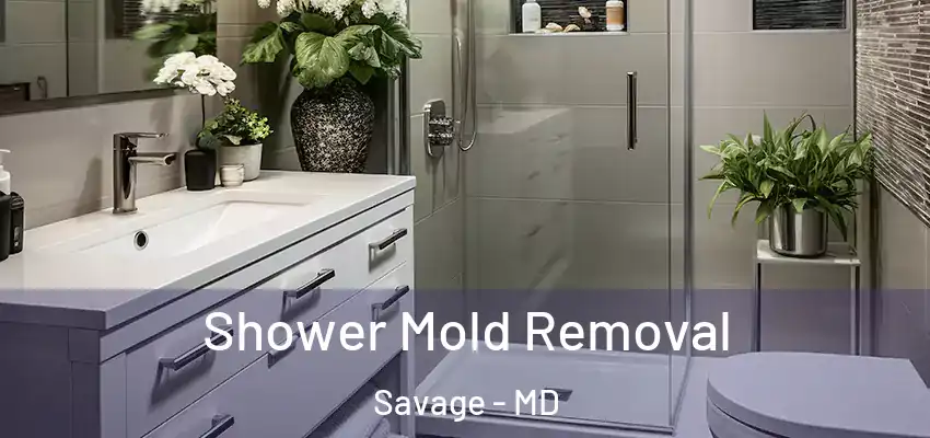 Shower Mold Removal Savage - MD