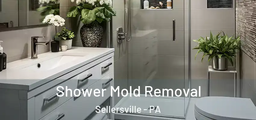Shower Mold Removal Sellersville - PA