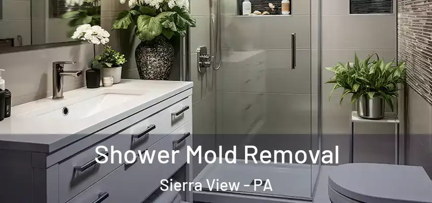 Shower Mold Removal Sierra View - PA