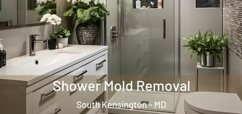 Shower Mold Removal South Kensington - MD