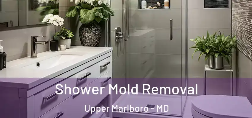 Shower Mold Removal Upper Marlboro - MD